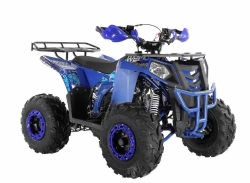 Квадроцикл Wels Thunder EVO