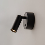 Настенный светильник (бра) Maytoni C038WL-L3B3K