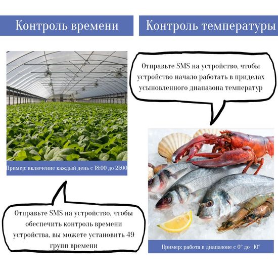 GSM розетка с датчиком температуры и дистанционным управлением iTimer WT-C21