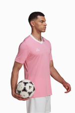 Футболка adidas Entrada 22