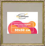 Рамка 50x100 для постера и фотографий RPS1014305-12(D85)