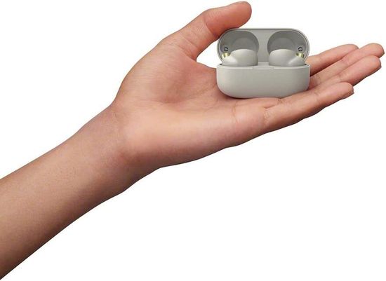 Наушники Sony WF-1000XM4 (Серебряный)