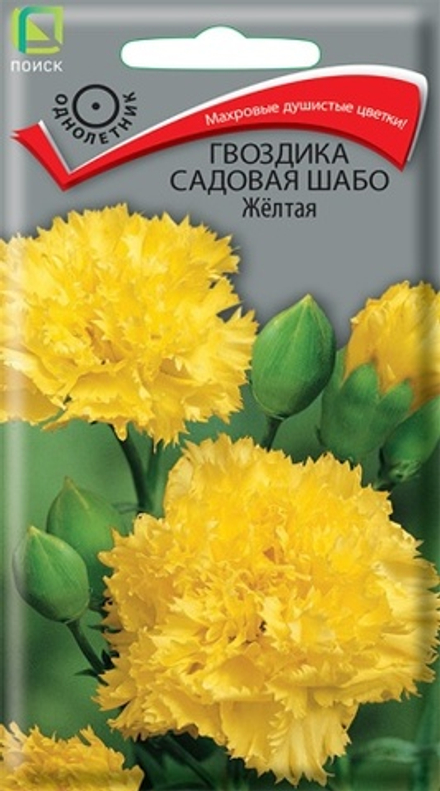 Гвоздика садовая Шабо Желтая 0,1гр. (Поиск)