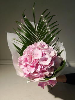 Комплимент с гортензии небесно-голубого цвета (М0030)