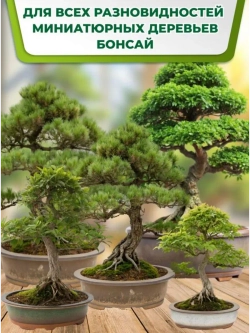 Удобрение для деревьев бонсай в стиках 20шт