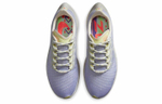 Кроссовки Nike Pegasus 37 (Женская размерная сетка)