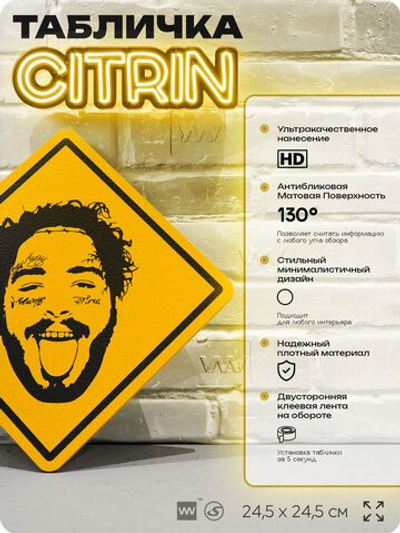 Табличка декоративная "Пост Малон, Post Malone" на дверь и стену, прикольная штука в подарок, декоративный знак, 24,5х24,5 см, пластиковая, Айдентика Технолоджи