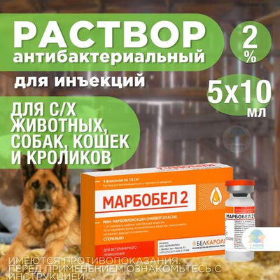 БЕЛКАРОЛИН Марбобел 2%, раствор для инъекций, для лечения молодняка сельскохозяйственных животных, собак, кошек и кроликов, 10 мл, 5 шт. Марбофлоксацин.