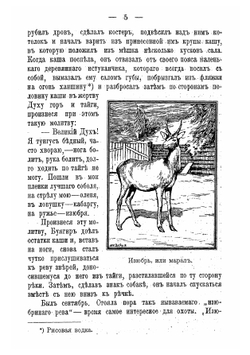 В амурской тайге. Рассказ из жизни тунгусов | Инфантьев Порфирий Павлович