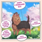 Сухой корм для собак ZILLII (Зилли) Dog Adult Small Breed Light 15кг индейка и ягненок для мелких пород с избыточным весом