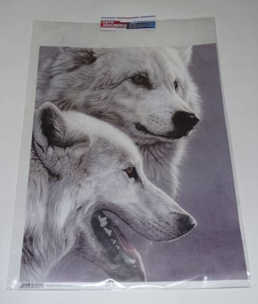 Наклейка портрет  Волки северные  (430х330) (уп. 1шт.) (A-STICKER)