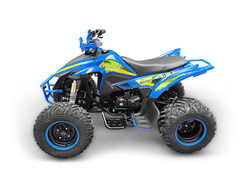 Квадроцикл YACOTA TYPHOON 250