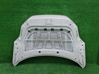 Капот Zeekr 001 (2021-н.в.)
