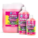 TriPart Bloom