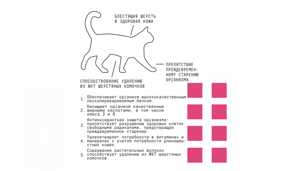 AjO Cat Skin & Hair Cухой низкозерновой корм для взрослых кошек для здоровой кожи и красивой шерсти с лососем и индейкой, 1,5 кг
