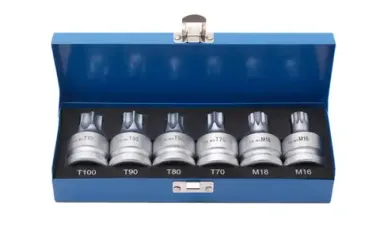 Набор головок Torx, Spline с отверстием 3/4''6пр.(Т70, Т80, Т90, Т100, М16, М18), в кейсе RockFORCE RF-305116