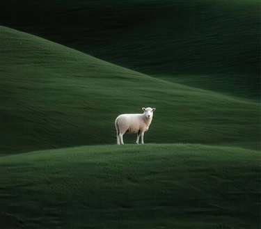 Синдром самозванца и вечная усталость: почему вы не чувствуете себя «достаточно хорошим» и как обрести опору