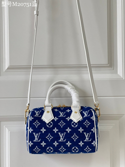 Louis Vuitton Speedy 20
