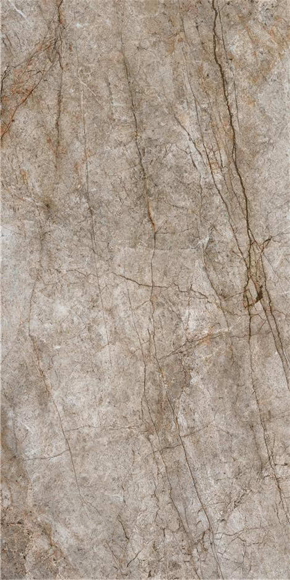 RAIN FOREST NATURAL PULIDO 59X119 RECT.