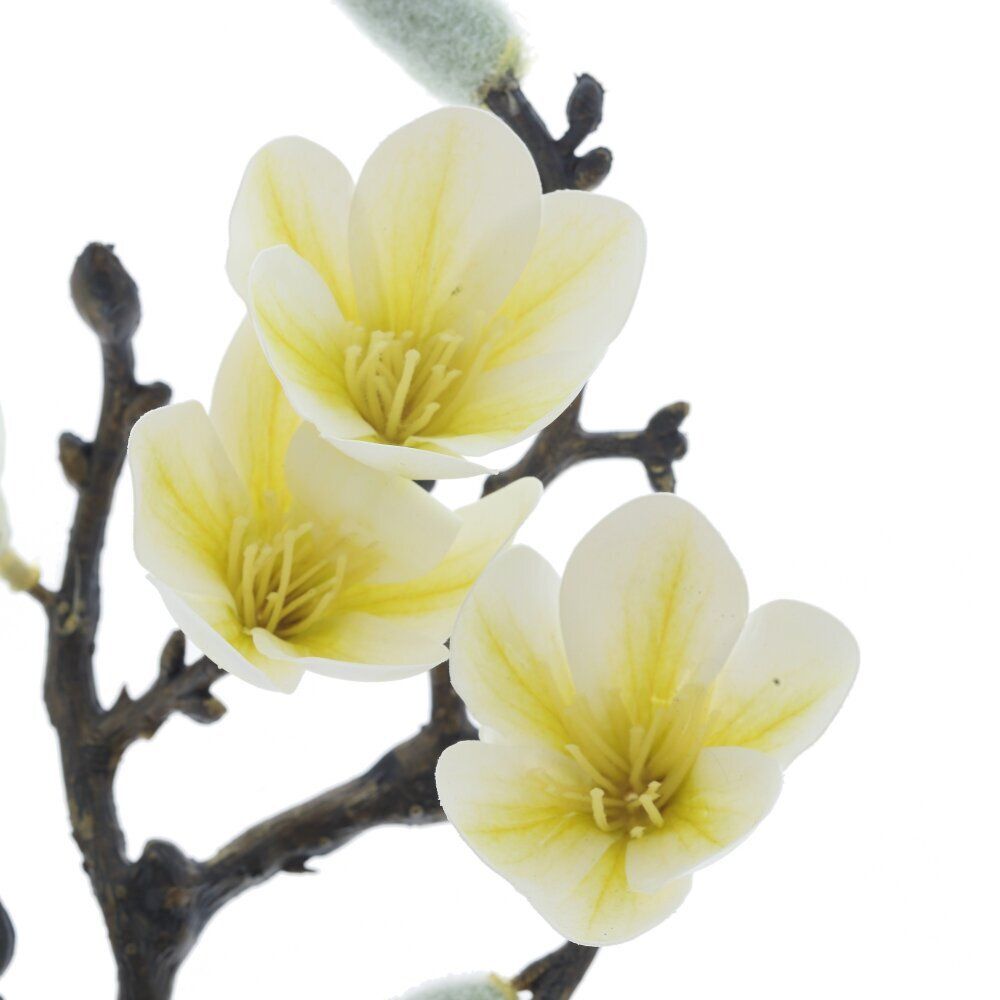 GAEM Цветочная композиция "Магнолия", L17 W10 H28,5 см