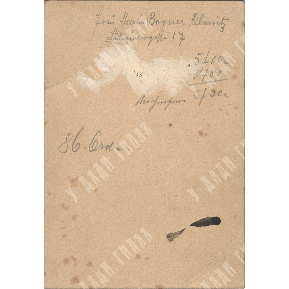 Frau Maria Biogner. Студийное фото. Австро-Венгрия. 1880-е.