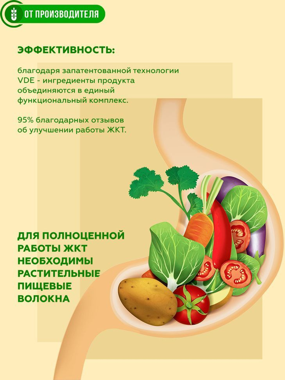 92d11d058356fbe10fcec6addd325208