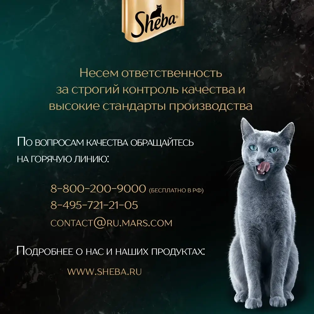 Паштет курица в желе, 75г влажный корм для кошек Sheba