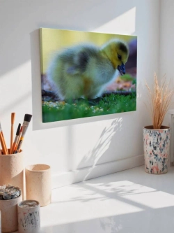 Картина на стену 40 X 50 Утята