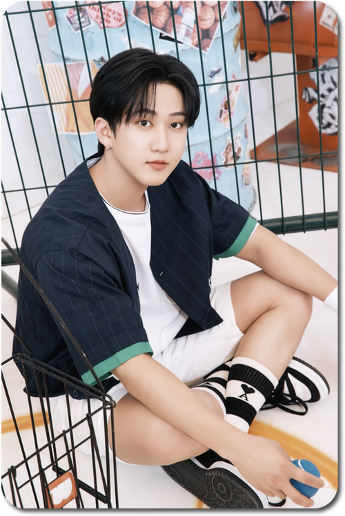 Карта / STRAY KIDS #0399