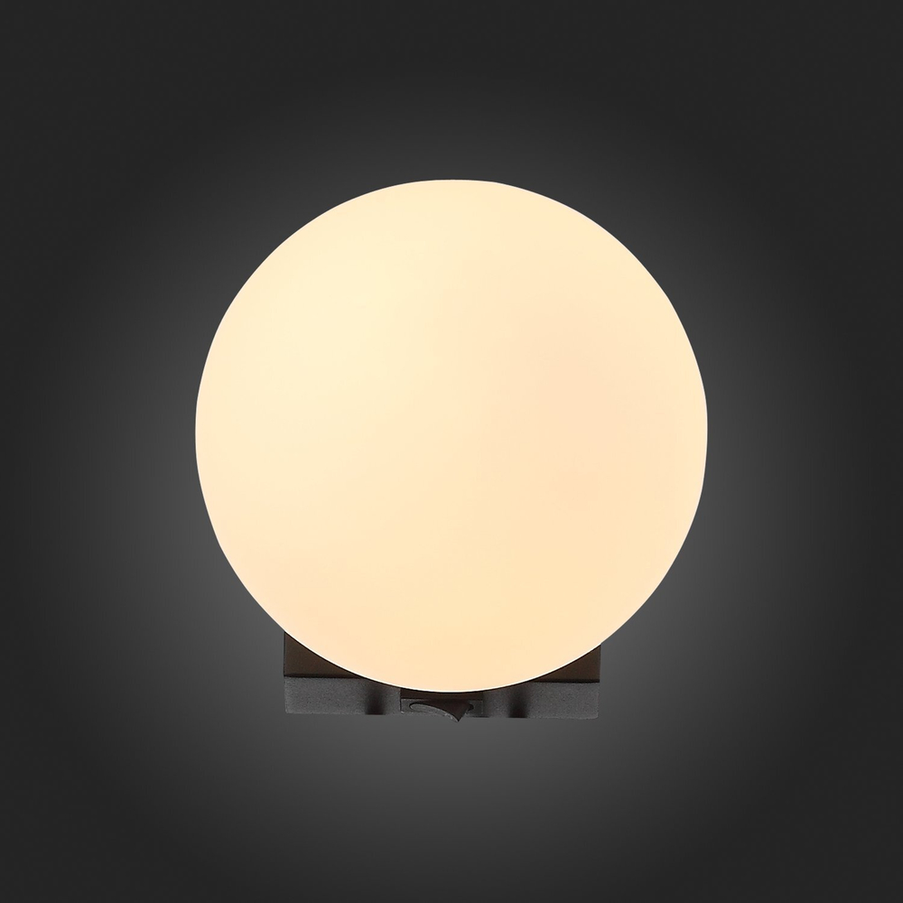 Светильник настенный ST Luce Botelli SL1581.401.01