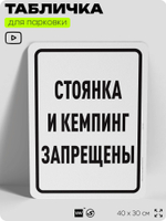 Табличка для парковки "Стоянка и кемпинг запрещены", для дома, офиса, организаций, 40х30 см, Silver Plane x Айдентика Технолоджи