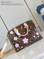 Louis Vuitton Speedy 25