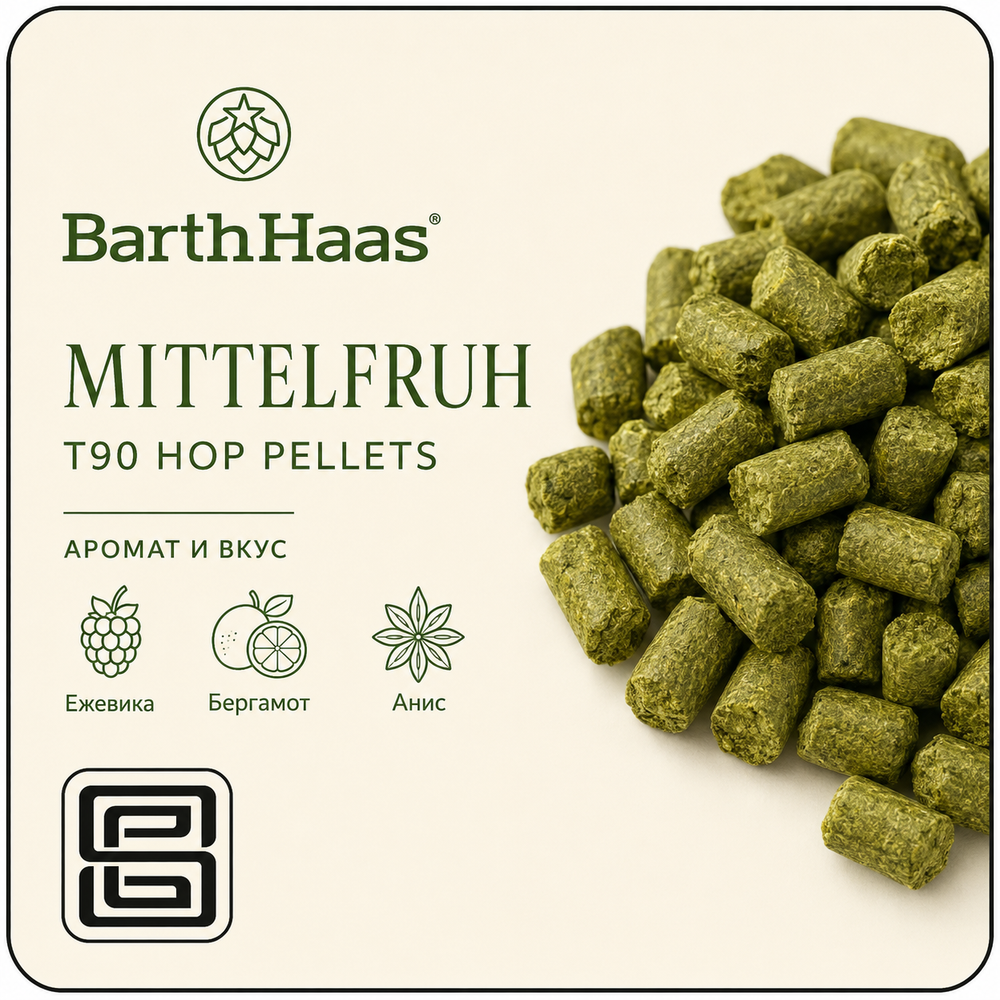MITTELFRÜH