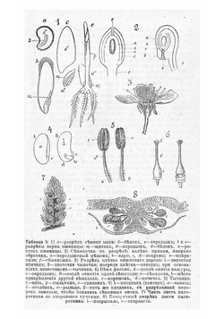 Справочная садовая энциклопедия. Пособие для любителей садоводства, плодоводства, огородничества и комнатных культурных растений | Штейнберг Павел Николаевич