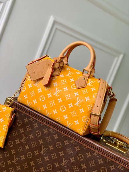 Louis Vuitton Speedy P9 Bandouliere 25