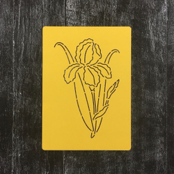 Цветок Ирис №3