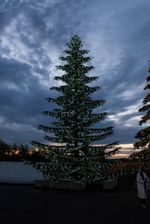 Светодинамическая елка ствольная со скамейкой, встроенная гирлянда: Холодный свет - "Лесная" (Литая хвоя) 12 м