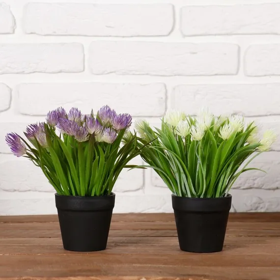 Бонсай в горшке "Эхмея с травой" 9*19 см, микс