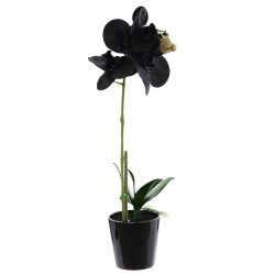 GAEM Цветочная композиция, L W H45 см