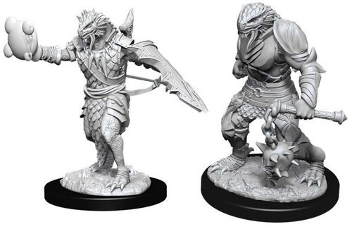 D&D Nolzur's Marvelous Miniatures - Male Dragonborn Paladin