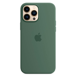 Силиконовый чехол с поддержкой MagSafe Apple Silicone Case для iPhone 13 Pro, Eucalyptus (Эвкалипт)