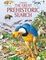 The Great Prehistoric Search