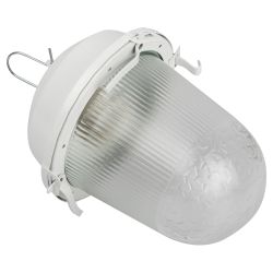 Светильник ЭРА НСП 02-100-001 без решетки Желудь сталь / стекло IP54 E27 max 100Вт 262х172 белый