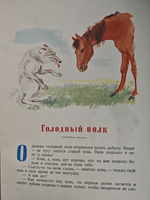 Голодный волк. Глупый медведь