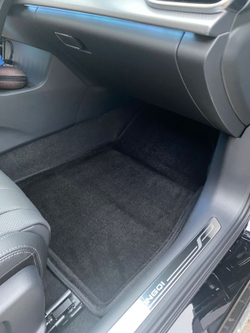 3D коврики для Hongqi H5 II 2022-н.в. Seintex.99587