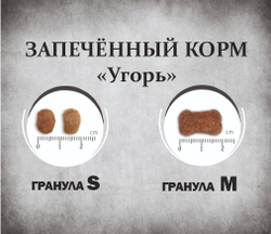 Гранулы