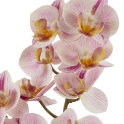 GAEM Цветочная композиция, L15 W13,5 H39 см