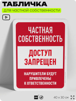Табличка для частной территории "Частная собственность, доступ запрещен", на дом, для участка, организаций, предупреждающая, 40х30 см, Silver Plane x Айдентика Технолоджи