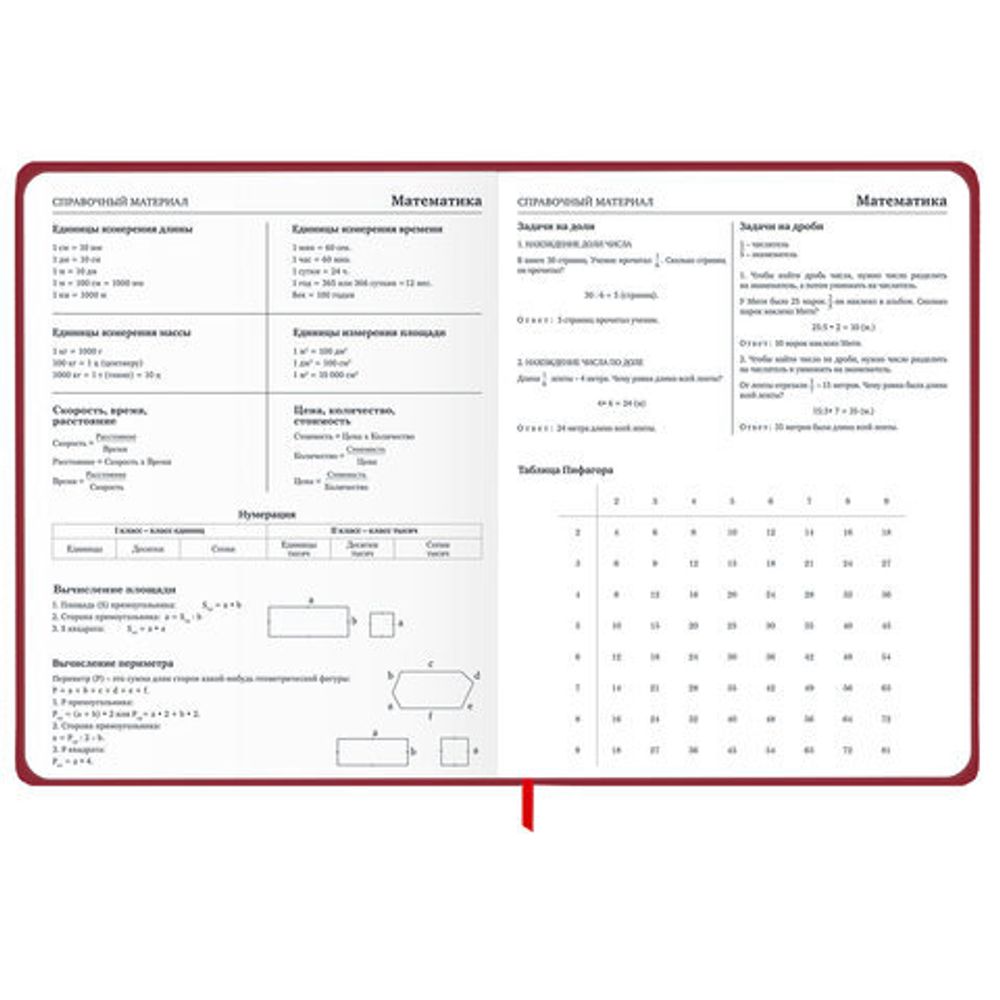 Дневник 1-11 класс 48 л., твердый, BRAUBERG, матовая ламинация, резинка, закладка-ляссе, с подсказом, "Мото", 107236