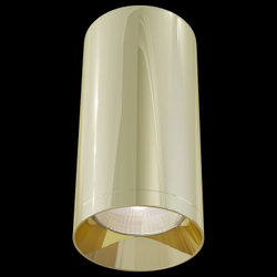 Накладной светильник Maytoni Technical C010CL-01G